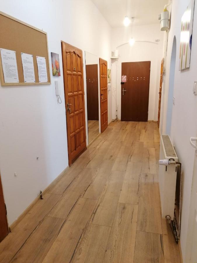 Hostel Tulip - Pokoj 5 Ze Wspolna Lazienka I Kuchnia ชเตชชิน ภายนอก รูปภาพ